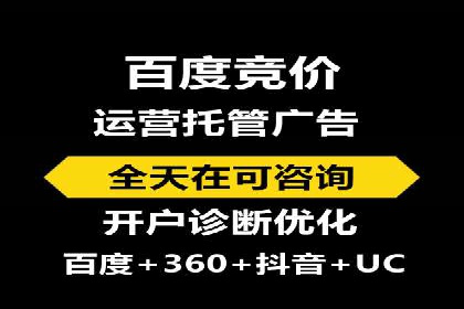 成功案例：sem竞价托管的智慧与策略